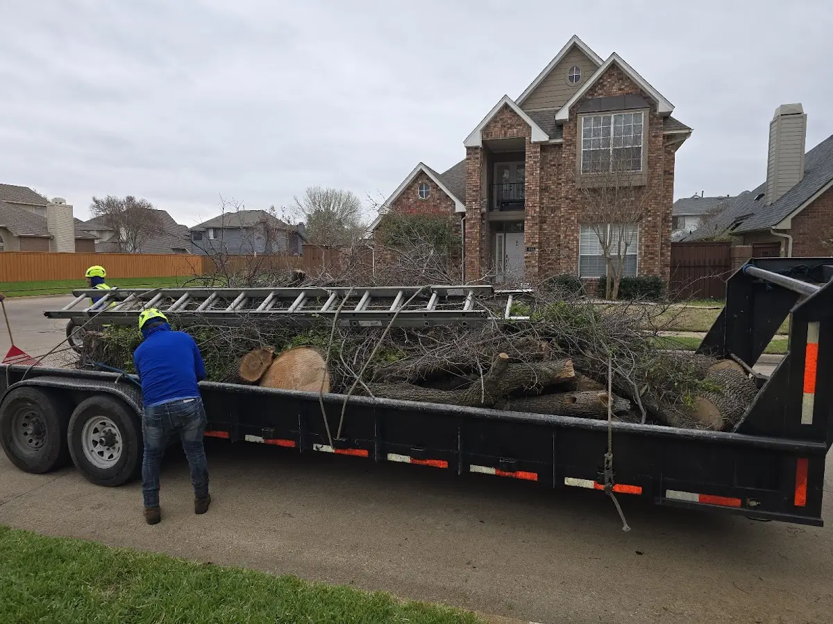 Expert Tree Removal with proper safety equipment in Milnesville